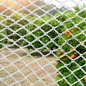 bird net proof net for orchard