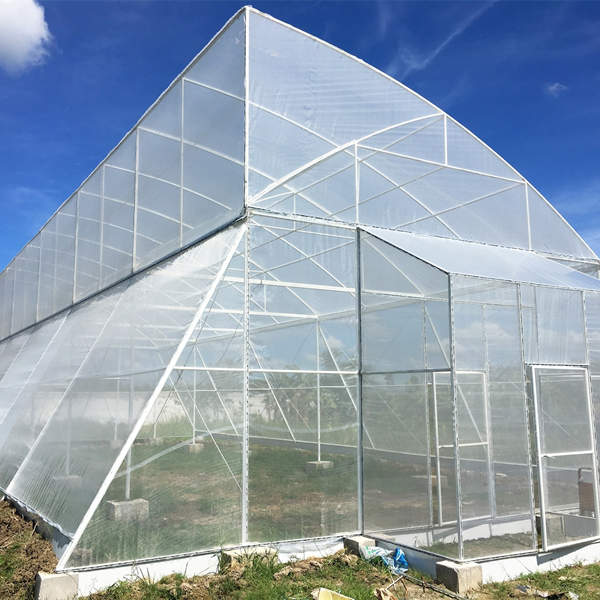 greenhouse poly insect nets-2