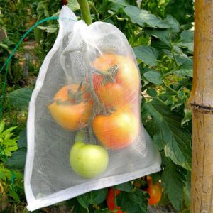 insect bag for vegetable