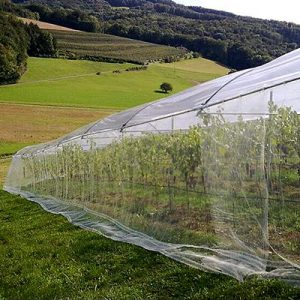 insect netting for orchard