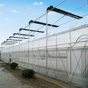 polyhouse insect nets