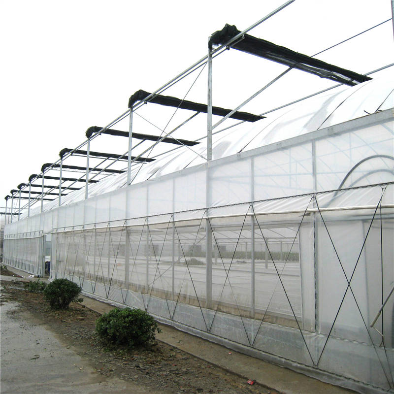 Greenhouse Insect Screen, Anti Insect Netting Supplier