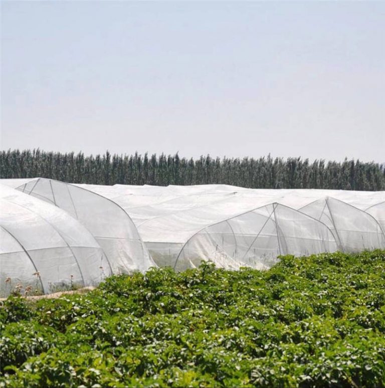 Greenhouse Insect Screen Anti Insect Netting Supplier Direct Factory