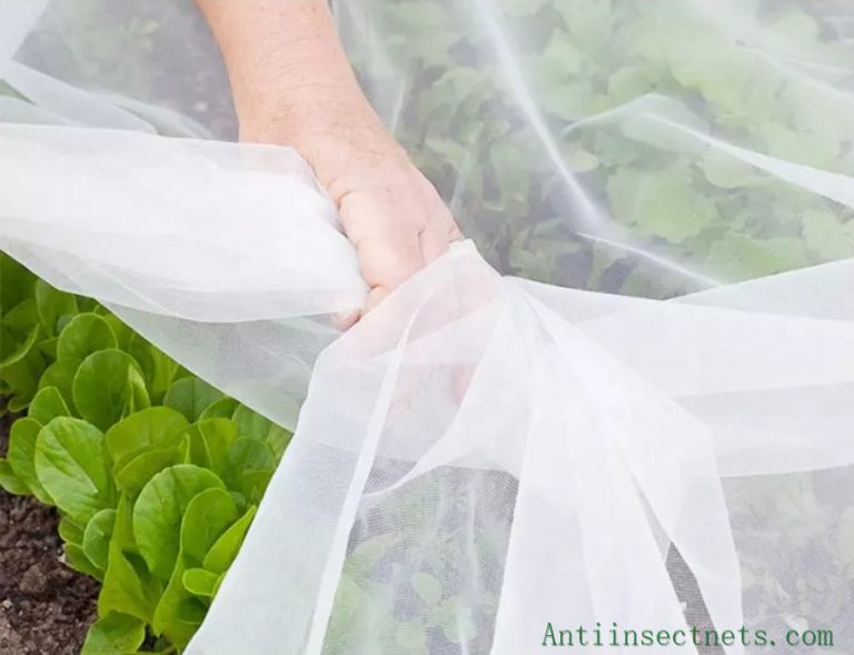 Greenhouse Insect Screens: Types, Characteristics | Anti Insect Netting ...